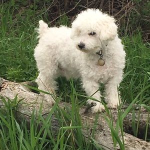 Meet your Posher, Thomas